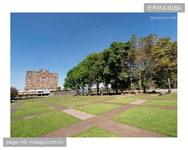 墨西哥赛区的高原环境对非洲球队是挑战，体能分配成关键。